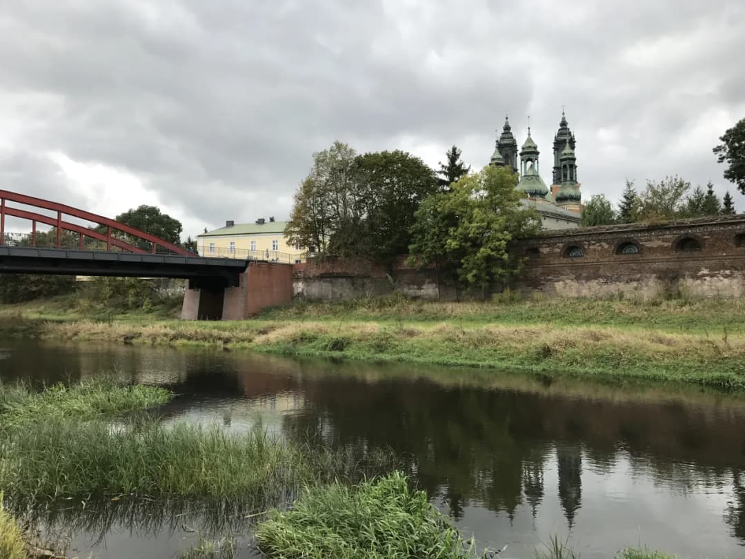 iPhone 7: Aparat 12 Mpx. Czy nadal robi dobre zdjęcia w 2026?