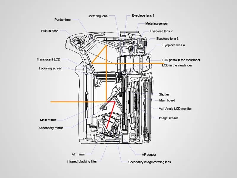 Jak działa lustrzanka dwuobiektywowa? Budowa i mechanizm TLR