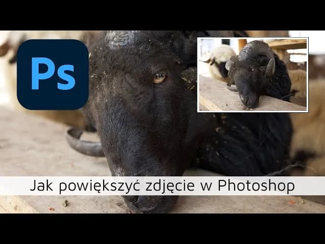 Jak powiększyć obraz w Photoshopie? AI ratuje jakość!