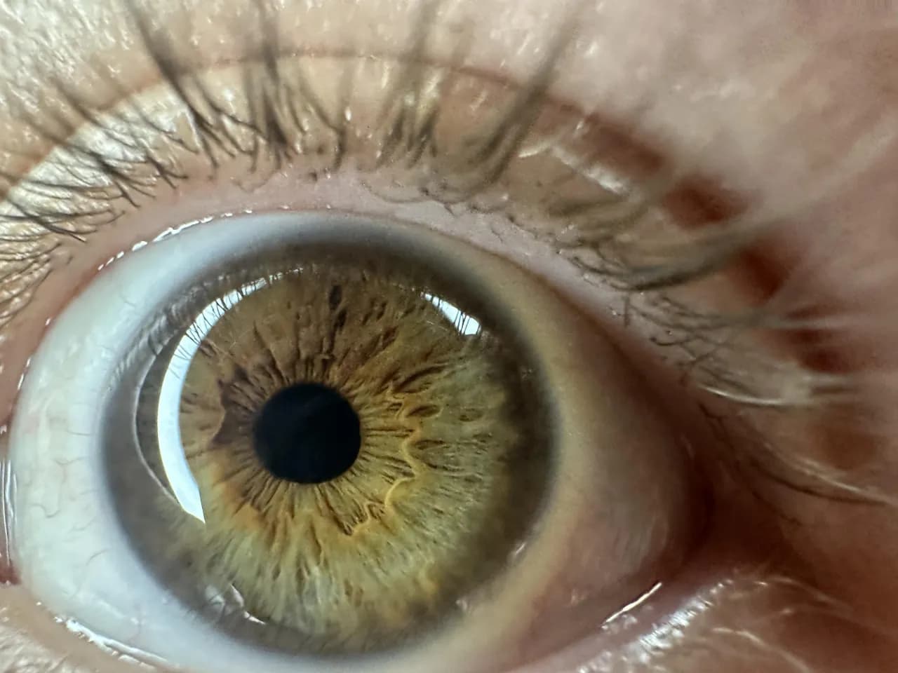 Jak zrobić zdjęcie oka telefonem? Odkryj sekrety makro.